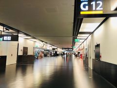 -维也纳国际机场