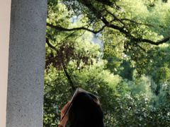 -湖北美术学院(昙华林校区)