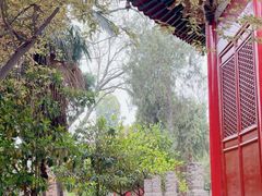 -西安碑林博物馆
