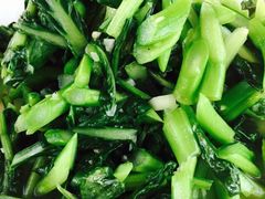 -马帮菜馆·美味野生菌
