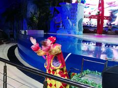 -三亚海昌梦幻海洋不夜城