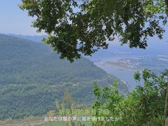 -铁山坪森林公园