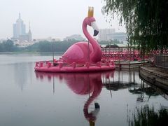 -莲花池公园