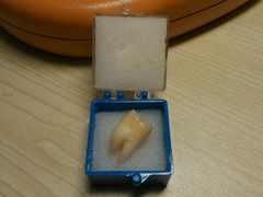 -欧乐口腔(张江店)