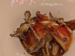 -蝶舍·MAISON PAPILLON