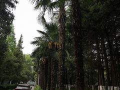 -陕西师范大学(雁塔校区)
