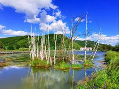 -洮儿河国家湿地公园