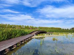 -永定河休闲森林公园