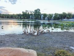 -长春市南湖公园