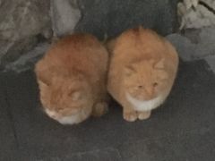 -瓦厂酒店