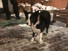 -哈尔滨北方国际青年旅舍(中央大街店)