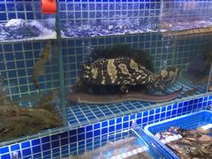 水产区-必点海鲜·鲅鱼水饺(鞍山西道店)