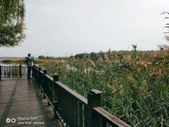 -北京麋鹿生态实验中心