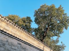 -恭王府博物馆
