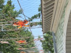 -南宫五洲植物乐园