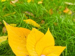 -敬亭山风景名胜区