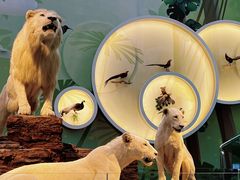 -陕西自然博物馆