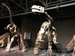 -世界恐龙谷景区