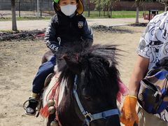 -斯玛特儿童美术中心(文化中心店)