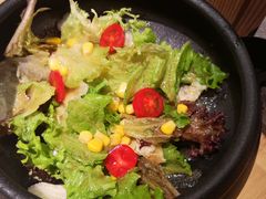蔬菜沙拉-极炙烧肉
