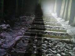 -武陵山森林公园
