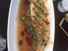 -明珠湖天鹅苑·农家菜馆