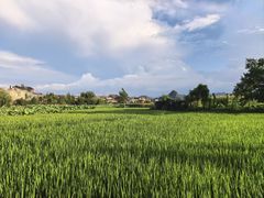 -夏屿湖畔.落日湖景餐厅(普者黑景区店)