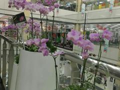 -优客城市奥莱