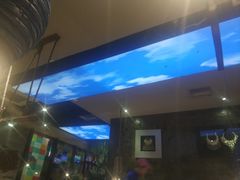 -雀舞云南菜(乐客城店)