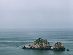 -枸杞岛