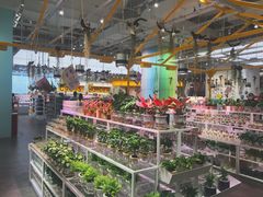 -KKV(深圳宏发大仟里店)