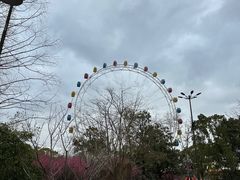 -上海野生动物园