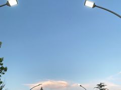-滨河世纪广场公园