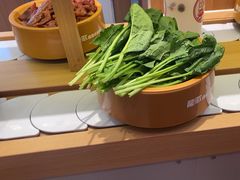 -龍歌自助小火锅(崂山丽达店)