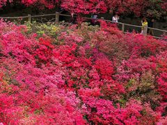 -木兰云雾山