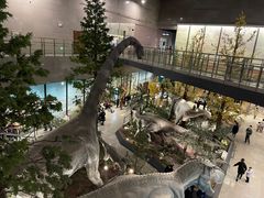 -湖南省地质博物馆