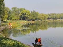 -北坞公园