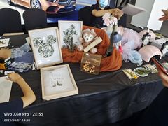 -奔驰上海利星(七宝店)