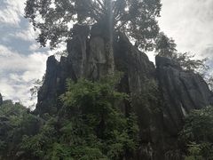 -玉石林风景区