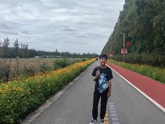 -上海长兴岛郊野公园