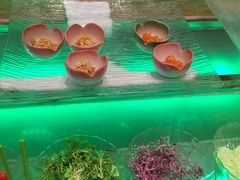 -松子料理(亮马桥店)