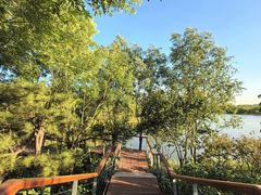 -东郊湿地公园