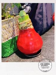 -奈瑞儿美颜美养SPA