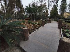 -河泥荡文化公园