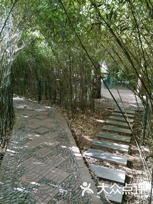 友谊公园-图片-石家庄周边游-大众点评网