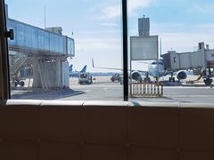 -郑州新郑国际机场T2航站楼-贵宾厅B区