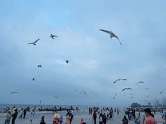 -东港音乐喷泉广场