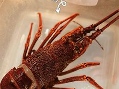 -茉里观邸(民国洋楼店)