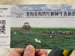 -北海金海湾红树林生态旅游区