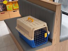 -艾贝尔宠物医院·24H转诊中心·肿瘤猫专科(江宁双龙店)